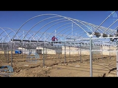 Sichuan Baolida Metal Pipe Fittings Manufacturing Co., Ltd. Company Video