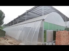 Hot Galvanized Steel Hydroponic Tomato Multi Span Greenhouse Outdoor Farming