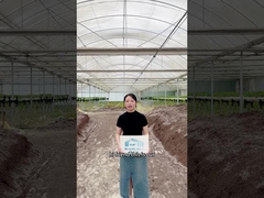 अपने कृषि खेल को बढ़ाने के लिए तैयार?