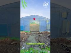 सुरंग ग्रीनहाउस