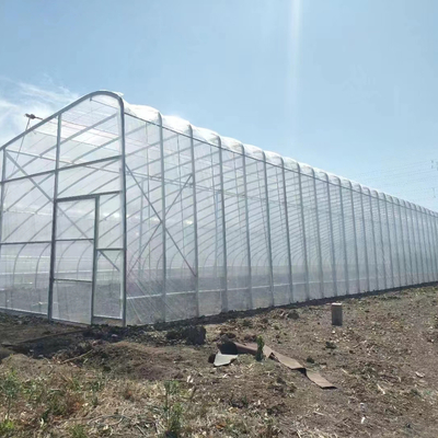 गुणवत्ता  Plastic Film Solar Passive Greenhouse With Rainwater Collection Support कारखाना