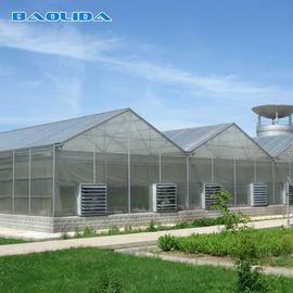 गुणवत्ता  Commercial Polycarbonate Sheet Greenhouse / PC Sheet Greenhouse Customized Material कारखाना