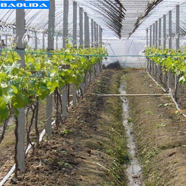गुणवत्ता  Small Greenhouse Irrigation System / Greenhouse Auto Watering System कारखाना
