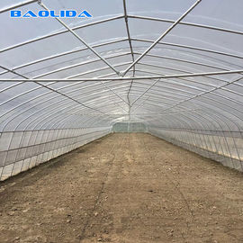 गुणवत्ता  Tomato Growing Naturally Ventilated Greenhouse Plastic Film Greenhouse कारखाना