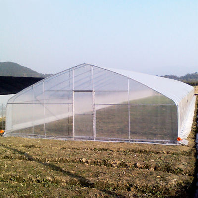 गुणवत्ता  High Strength Agricultural Poly Tunnel Tomato Greenhouse 5*15m 17*50ft कारखाना