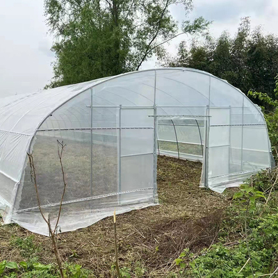 गुणवत्ता  Strawberry Growing Side Ventilation Single Span Greenhouse For Agriculture कारखाना