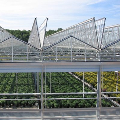 सब्जियों के लिए हाइड्रोपोनिक ग्रोइंग सिस्टम कृषि सौर ग्लास ग्रीनहाउस