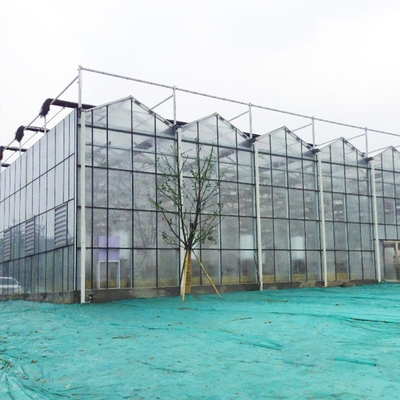 सब्जियों के लिए हाइड्रोपोनिक ग्रोइंग सिस्टम कृषि सौर ग्लास ग्रीनहाउस