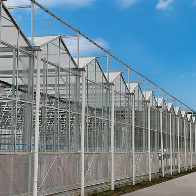 सब्जियों के बढ़ने के लिए कृषि मल्टी स्पैन हाइड्रोपोनिक फाइबर ग्लास ग्रीनहाउस