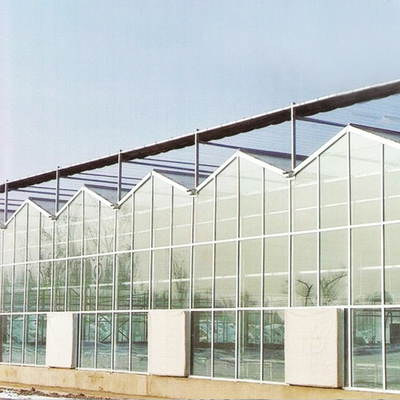 वेनलो टेम्पर्ड ग्लास पैनल्स स्टील फ्रेम ग्रीनहाउस यूरोप ऑटोमैटिक सिस्टम