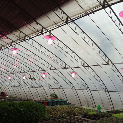 कृषि शीत क्षेत्र निष्क्रिय सौर ग्रीनहाउस पारंपरिक