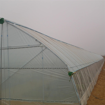 किफायती उच्च घेरा कृषि 60 मीटर सुरंग प्लास्टिक ग्रीनहाउस