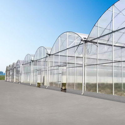 हाई टनल वेनलो ऑटोमेशन सिस्टम पॉली कार्बोनेट शीट ग्रीनहाउस पौधों के बढ़ने के लिए