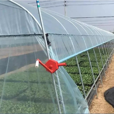 स्ट्रॉबेरी प्लांटिंग ग्रोइंग के लिए कृषि सिंगल टनल प्लास्टिक फिल्म ग्रीनहाउस
