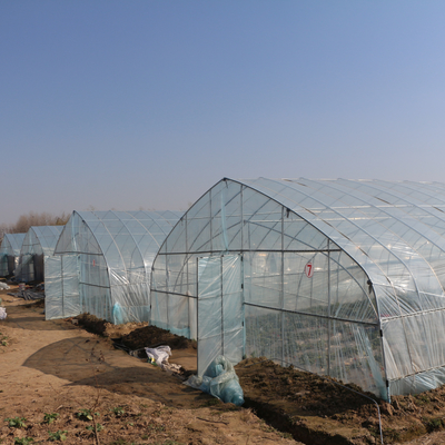 स्ट्रॉबेरी प्लांटिंग ग्रोइंग के लिए कृषि सिंगल टनल प्लास्टिक फिल्म ग्रीनहाउस