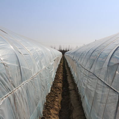 खेती के लिए आर्क आउटडोर चीनी सुरंग प्लास्टिक ग्रीनहाउस पारदर्शी