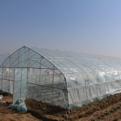 सब्जियों के पौधों के बढ़ने के लिए जस्ती स्टील फ्रेम टनल प्लास्टिक फिल्म ग्रीनहाउस