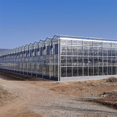 सब्जियों के बढ़ने के लिए कृषि मल्टी स्पैन स्वचालित वेनलो ग्लास ग्रीनहाउस