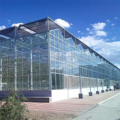 मेटल फ्रेम पॉलीटनल ग्लास वेनलो टाइप ग्रीनहाउस 60x90m . स्थिर