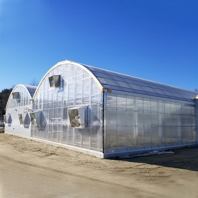 कृषि पॉली कार्बोनेट शीट ग्रीनहाउस टर्नकी प्रोजेक्ट सेरे एग्रीकोल इंटेलिजेंट