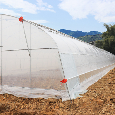 सीडलिंग के लिए सिंगल स्पैन ग्रीनहाउस कृषि उच्च सुरंग उगाने वाली सब्जियां
