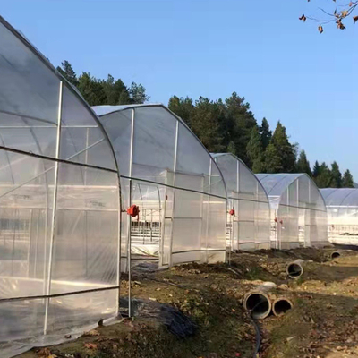 कृषि संयंत्रों के बढ़ने के लिए सिंगल स्पैन प्लास्टिक फिल्म टनल ग्रीनहाउस