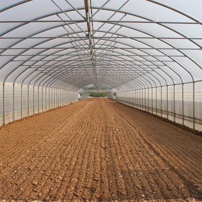 स्ट्रॉबेरी के लिए प्लास्टिक टनल सिंगल स्पैन ग्रीनहाउस कृषि