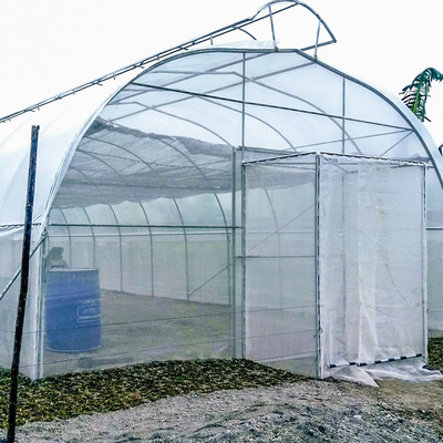 कृषि सिंगल स्पैन सिंगल टनल छाता रूफ वेंट ग्रीनहाउस गर्म क्षेत्र के लिए