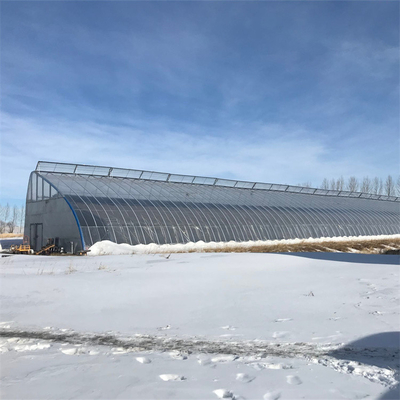 शीत क्षेत्र शीतकालीन निष्क्रिय सौर ग्रीनहाउस प्लास्टिक फिल्म सिंगल टनल