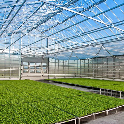 वाणिज्यिक ग्लास मल्टी स्पैन ग्रीनहाउस कृषि पौधों की खेती