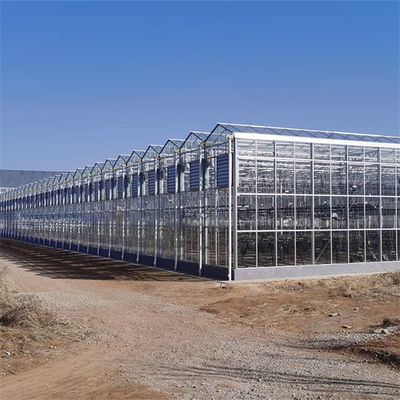 वाणिज्यिक ग्लास मल्टी स्पैन ग्रीनहाउस कृषि पौधों की खेती