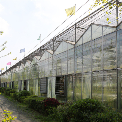 सुरंग वेनलो ग्लास ग्रीनहाउस पूरी तरह से स्वचालित जलवायु नियंत्रण