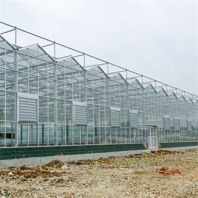 बॉटनिकल गार्डन के लिए जस्ती स्टील पाइप स्वचालित वेनलो ग्लास ग्रीनहाउस