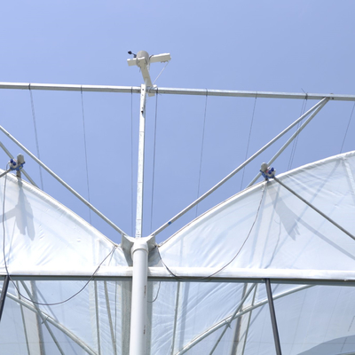 हार्ड नालीदार 8 मीटर चौड़ाई प्लास्टिक फिल्म ग्रीनहाउस पवन प्रतिरोधी: