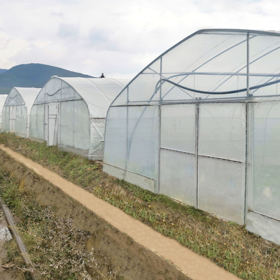 थोक ग्रीनहाउस चीन फैक्टरी मूल्य निर्माण सिंगलस्पैन हाइड्रोपोनिक कृषि ग्रीनहाउस