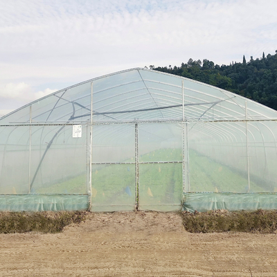 बिक्री के लिए हाइड्रोपोनिक सिस्टम सिंगल-स्पैन प्लास्टिक फिल्म कृषि ग्रीनहाउस निर्माण