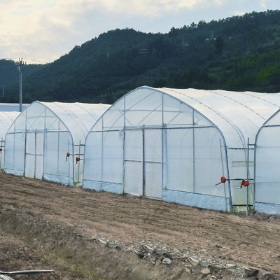 बिक्री के लिए हाइड्रोपोनिक सिस्टम सिंगल-स्पैन प्लास्टिक फिल्म कृषि ग्रीनहाउस निर्माण