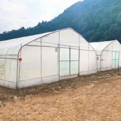 थोक ग्रीनहाउस चीन फैक्टरी मूल्य निर्माण सिंगलस्पैन हाइड्रोपोनिक कृषि ग्रीनहाउस