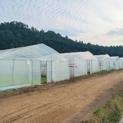 गर्म जस्ती स्टील फ्रेम उष्णकटिबंधीय फल बिक्री के लिए ग्रीनहाउस वाणिज्यिक ग्रीनहाउस उगाते हैं