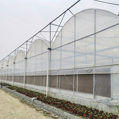 हाइड्रोपोनिक ग्रोइंग सिस्टम ग्रीनहाउस कम लागत वाला ग्रीनहाउस कृषि प्लास्टिक ग्रीनहाउस