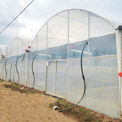 टर्नकी प्रोजेक्ट्स ने वाणिज्यिक हाइड्रोपोनिक प्लास्टिक फिल्म ग्रीन हाउस मल्टी-स्पैन कृषि ग्रीनहाउस स्थापित किए