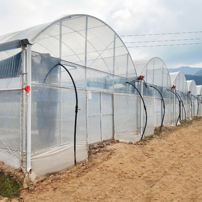 टर्नकी प्रोजेक्ट्स ने वाणिज्यिक हाइड्रोपोनिक प्लास्टिक फिल्म ग्रीन हाउस मल्टी-स्पैन कृषि ग्रीनहाउस स्थापित किए