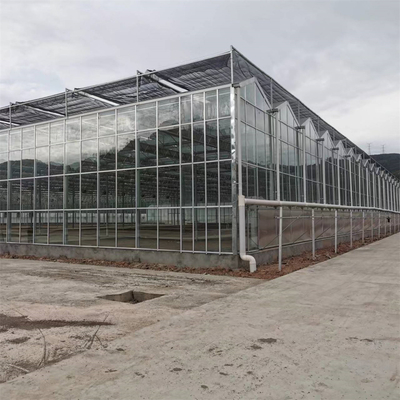 मल्टी-स्पैन कृषि ग्रीनहाउस वेनलो टेम्पर्ड ग्लास ग्रीनहाउस हाइड्रोपोनिक ग्रोइंग सिस्टम के साथ