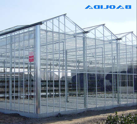 बड़े आकार के वेनलो ग्लास ग्रीनहाउस उच्च मजबूत संरचना ISO9001