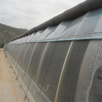 अनुकूलित तापमान नियंत्रण के साथ स्वचालित उच्च अछूता कृषि ग्रीनहाउस