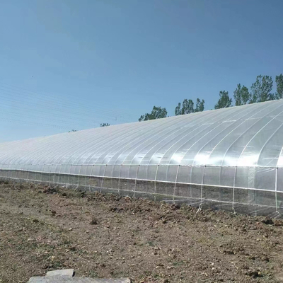 वर्षा जल संग्रह सहायता के साथ प्लास्टिक फिल्म सौर निष्क्रिय ग्रीनहाउस