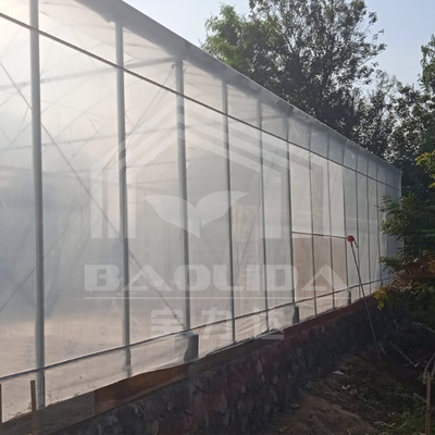 गोल आर्क साइड वेंटिलेशन प्लास्टिक सुरंग ग्रीनहाउस व्यापार एकल स्पैन स्ट्रॉबेरी ग्रीनहाउस