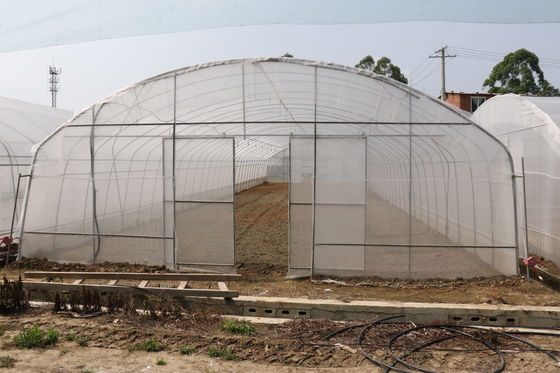 Polytunnel श्रीलंका कोलंबो स्टील फ्रेम ग्रीनहाउस सिंगल स्पैन