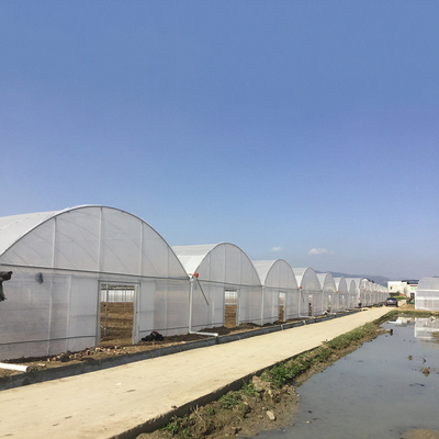 8-60 मीटर लम्बाई उच्च सुरंग प्लास्टिक फिल्म ग्रीनहाउस कृषि और फूल उत्पादन के लिए अनुकूलन योग्य आकार