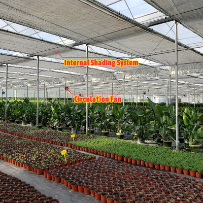 वनस्पति खेती समाधान 8-60 मीटर अनुकूलन योग्य आकार कृषि सुरंग रोलिंग बेंच और सिंचाई प्रणाली के साथ ग्रीनहाउस